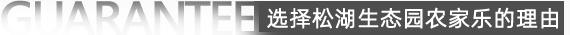 选择东莞松湖生态园农家乐旅游理由