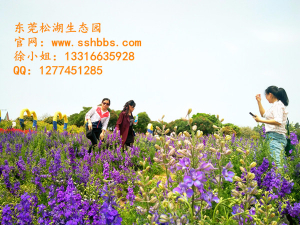 夏季旅行，你必须知道的那些事儿！